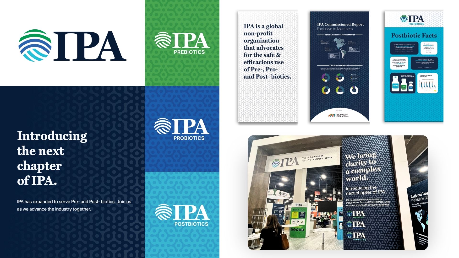 International Probiotic Association brand strategy and rebrand snapshot